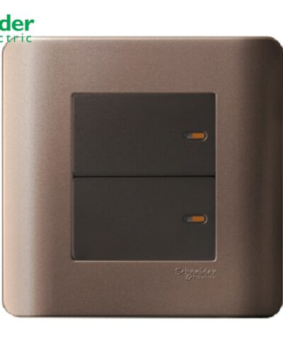BỘ CÔNG TẮC ĐÔI 1 CHIỀU 16A SCHNEIDER MÀU ĐỒNG- E8432_1_SZ_G19