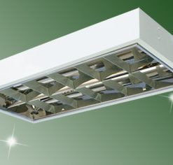 MÁNG ĐÈN XƯƠNG CÁ GẮN NỔI 2 BÓNG 300X600 GOODLUCK/ MÁNG ĐÈN 300X600 2 BÓNG