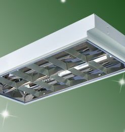 MÁNG ĐÈN XƯƠNG CÁ ÂM TRẦN 2 BÓNG 300X600 GOODLUCK/ MÁNG ĐÈN 300X600 2 BÓNG 0.6M