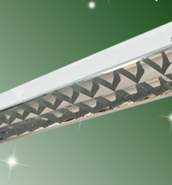 MÁNG ĐÈN XƯƠNG CÁ ÂM TRẦN 2 BÓNG 300X1200M GOODLUCK/ MÁNG ĐÈN 300X1200 2 BÓNG 1.2M